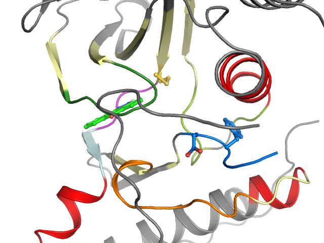 The orthosteric binding pocket
