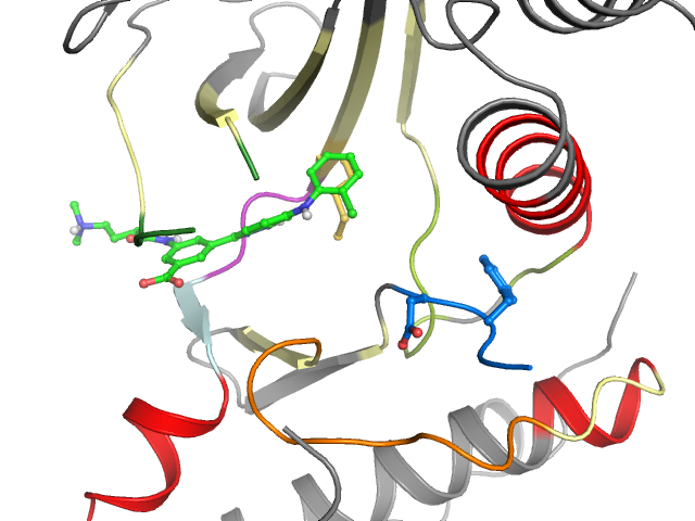 The orthosteric binding pocket