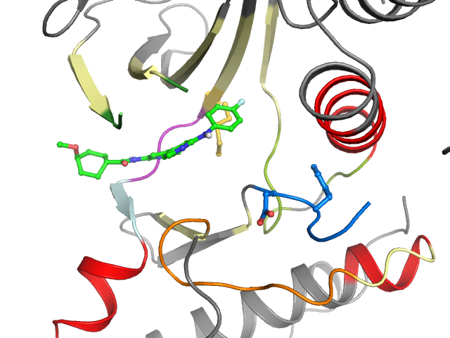 The orthosteric binding pocket