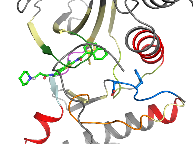 The orthosteric binding pocket