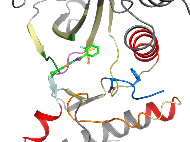The orthosteric binding pocket