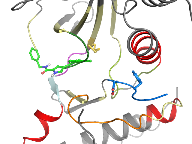 The orthosteric binding pocket