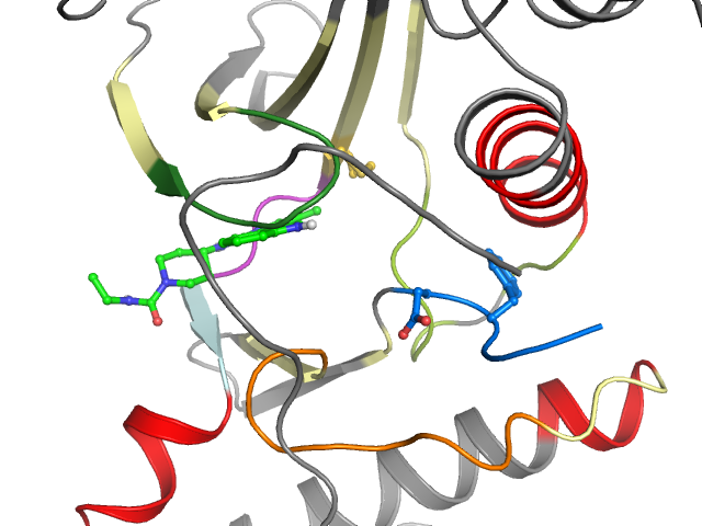 The orthosteric binding pocket