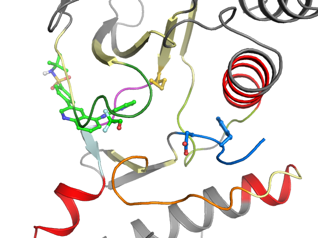 The orthosteric binding pocket