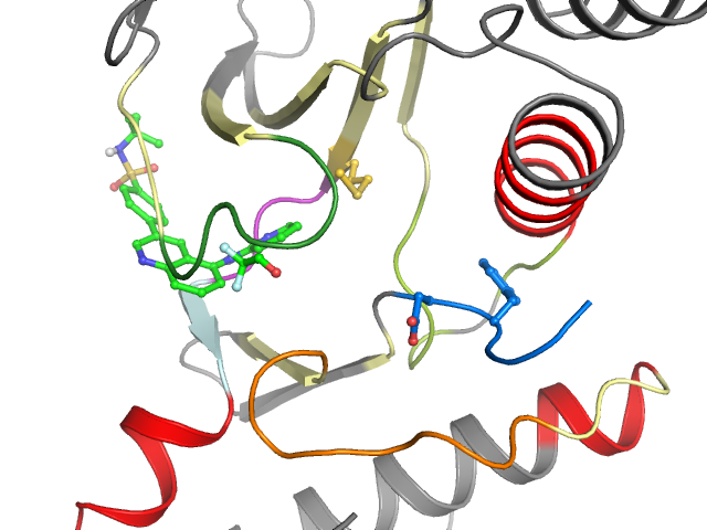 The orthosteric binding pocket
