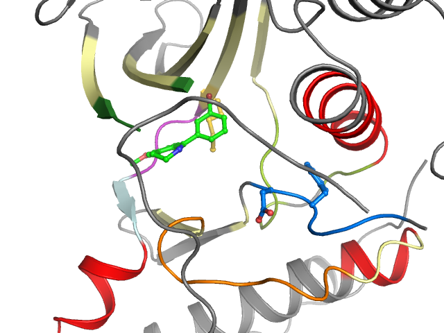 The orthosteric binding pocket
