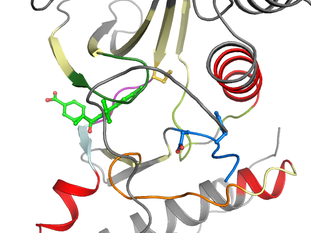 The orthosteric binding pocket