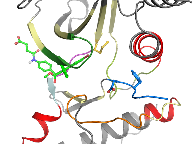 The orthosteric binding pocket