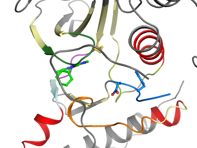 The orthosteric binding pocket
