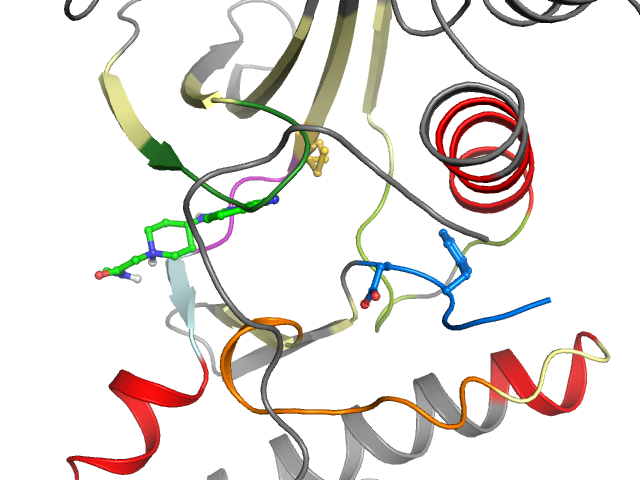 The orthosteric binding pocket