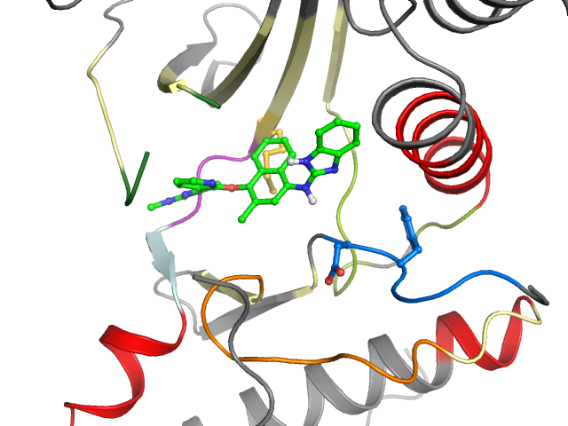 The orthosteric binding pocket