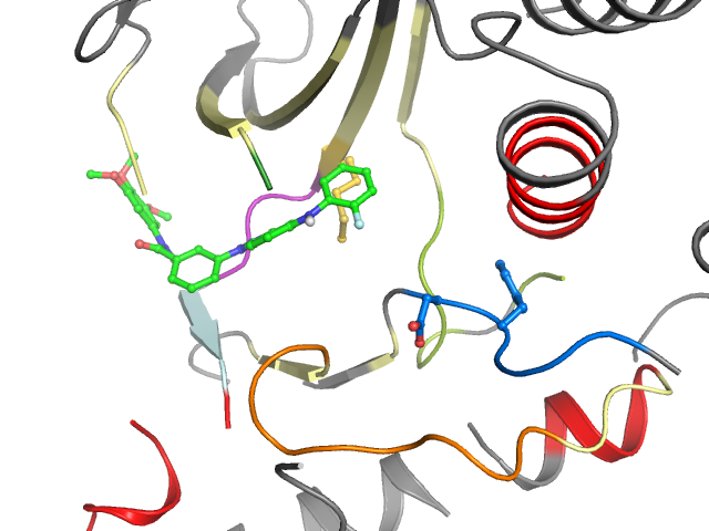 The orthosteric binding pocket