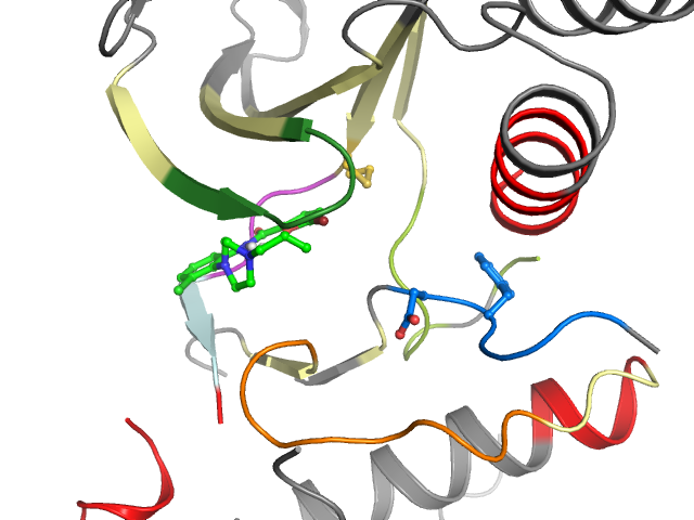 The orthosteric binding pocket