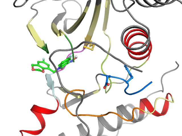 The orthosteric binding pocket