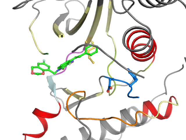 The orthosteric binding pocket