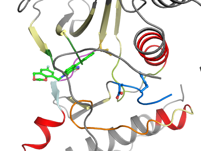 The orthosteric binding pocket