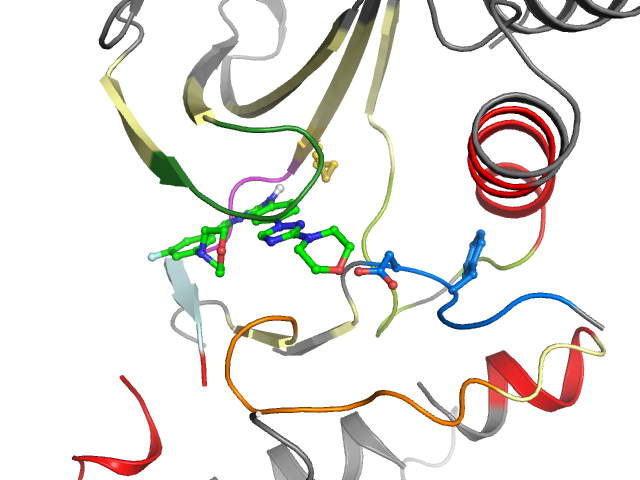 The orthosteric binding pocket