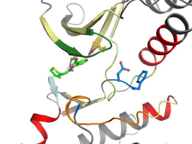 The orthosteric binding pocket