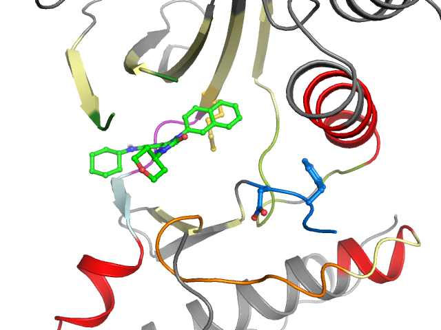 The orthosteric binding pocket