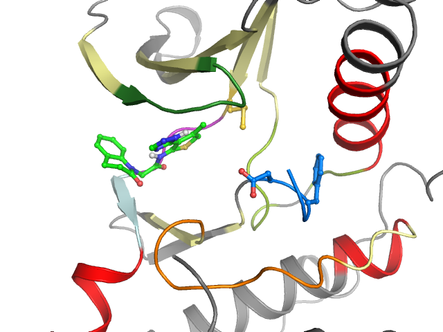 The orthosteric binding pocket