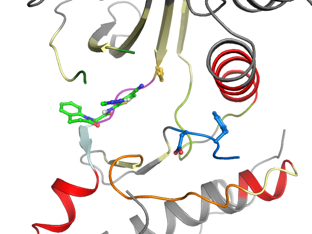 The orthosteric binding pocket
