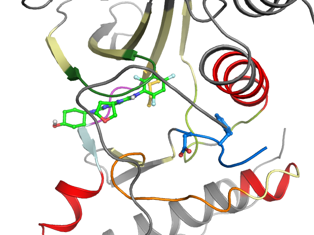 The orthosteric binding pocket
