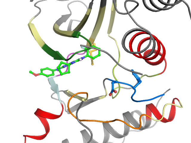 The orthosteric binding pocket