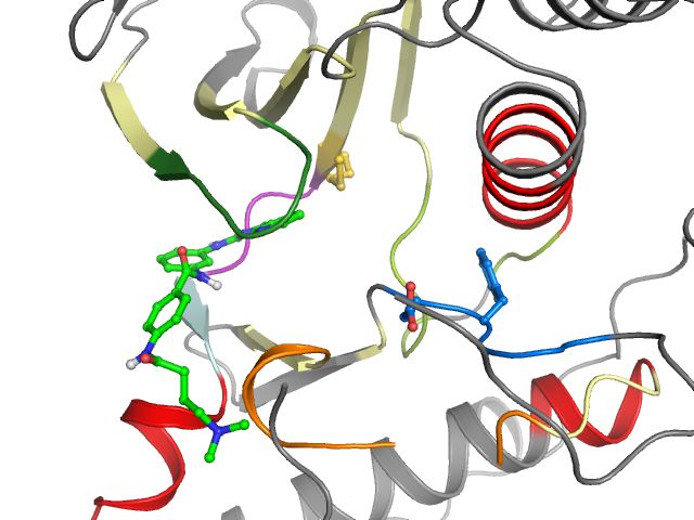 The orthosteric binding pocket