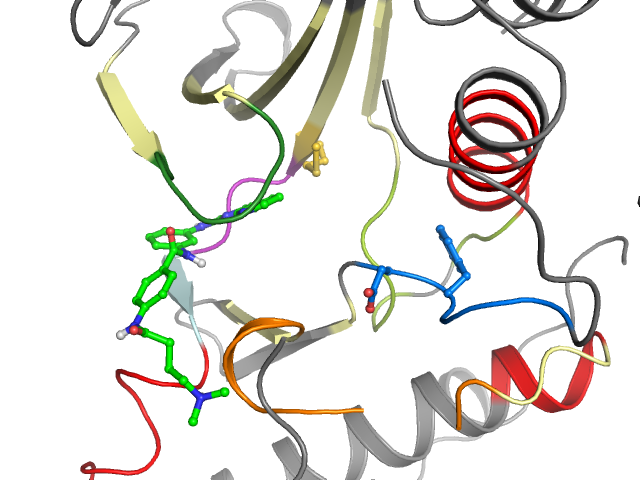 The orthosteric binding pocket