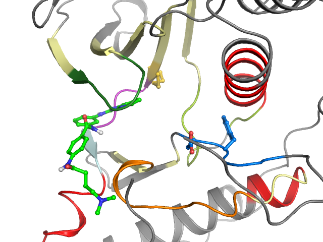 The orthosteric binding pocket