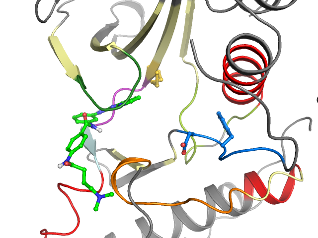The orthosteric binding pocket