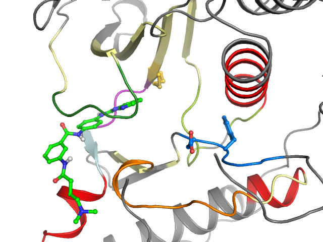 The orthosteric binding pocket