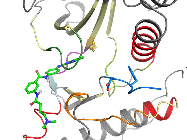 The orthosteric binding pocket