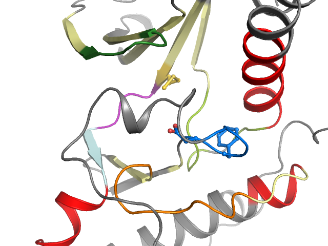 The orthosteric binding pocket