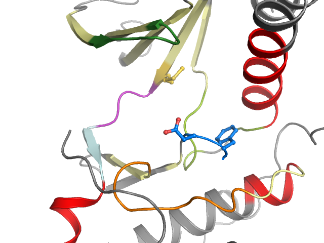 The orthosteric binding pocket