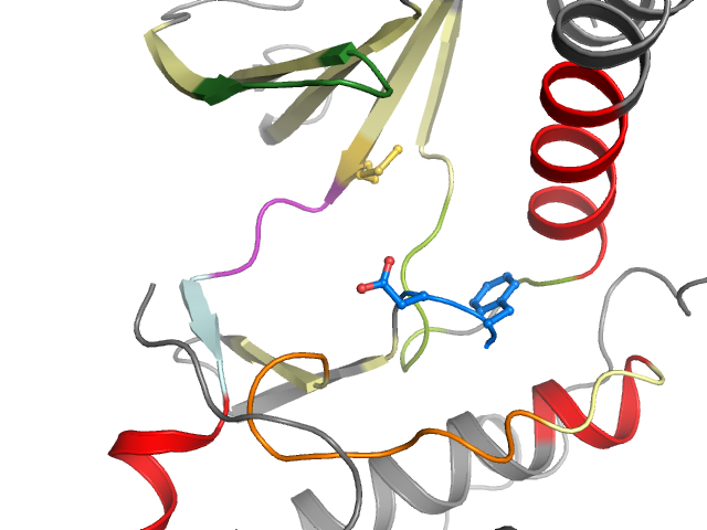 The orthosteric binding pocket