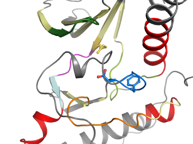 The orthosteric binding pocket