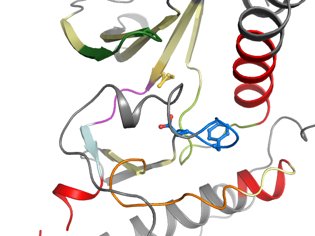 The orthosteric binding pocket