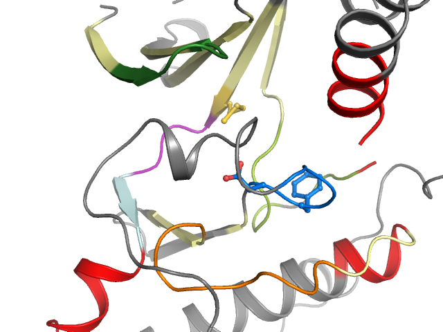 The orthosteric binding pocket