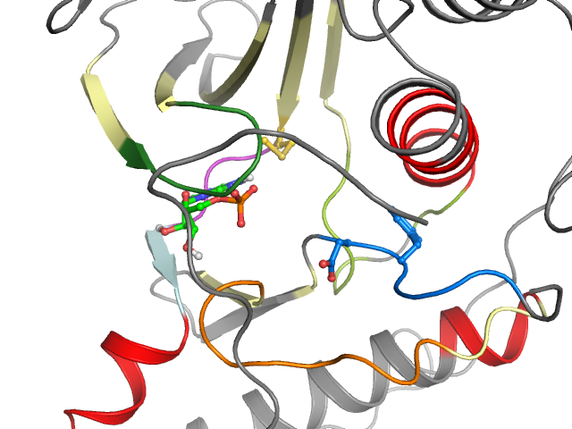 The orthosteric binding pocket