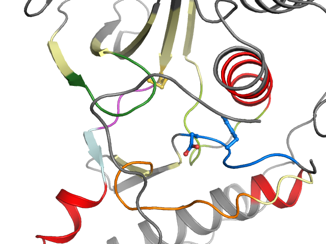 The orthosteric binding pocket