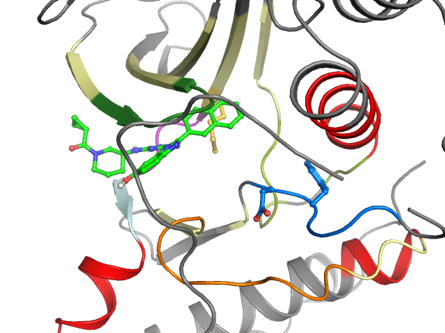 The orthosteric binding pocket