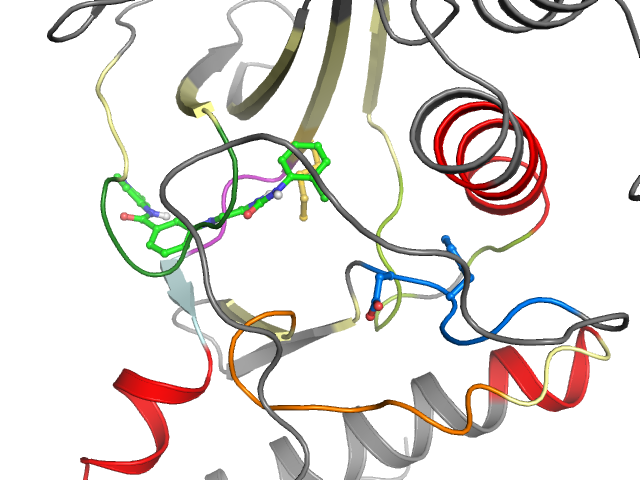 The orthosteric binding pocket