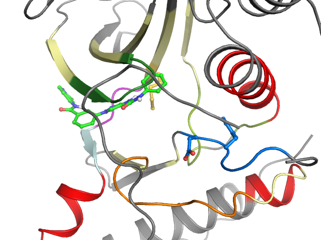 The orthosteric binding pocket