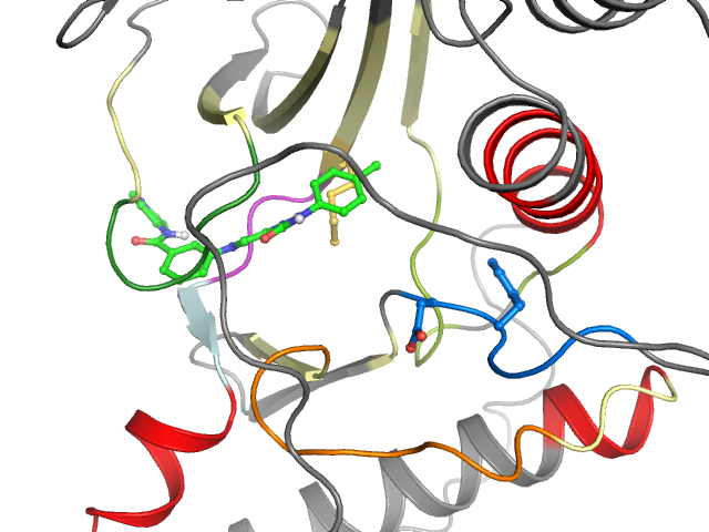 The orthosteric binding pocket