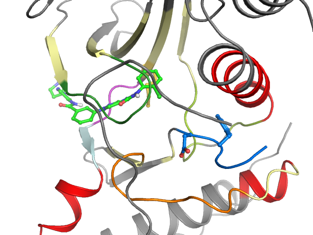 The orthosteric binding pocket