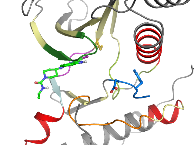 The orthosteric binding pocket