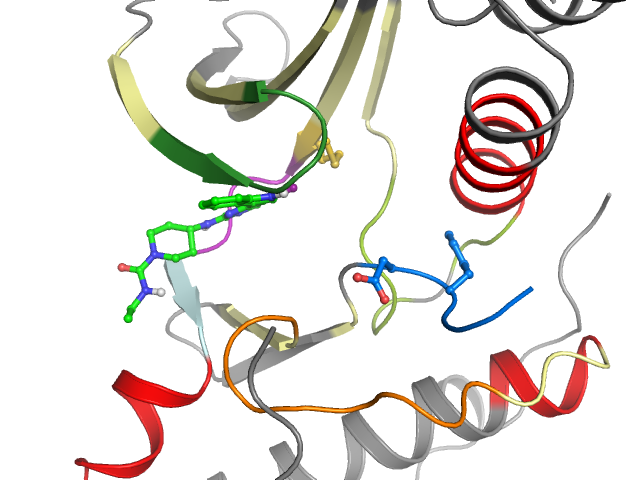 The orthosteric binding pocket
