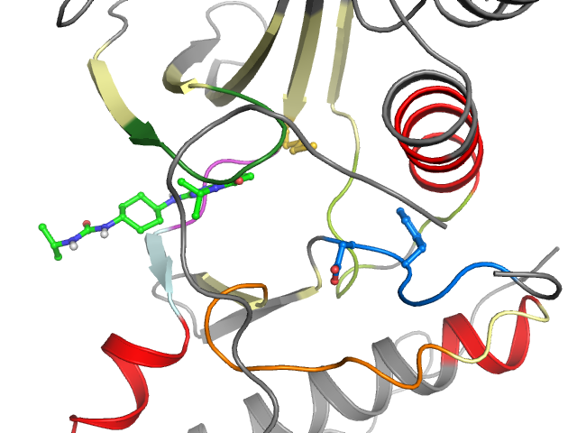 The orthosteric binding pocket