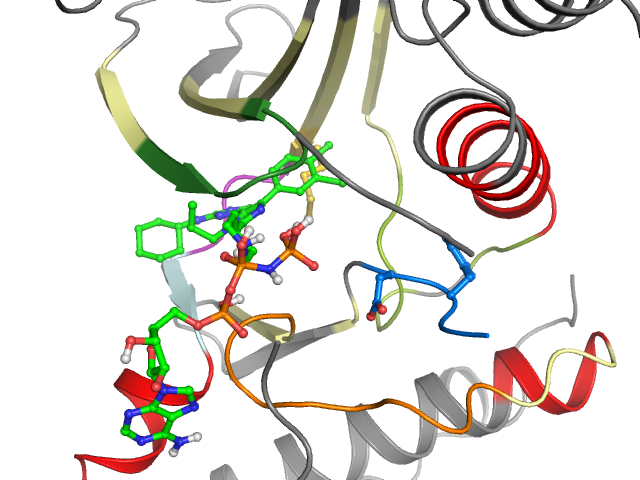 The orthosteric binding pocket